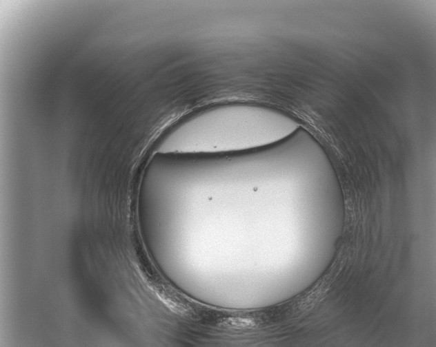 X0000059830159200510211031