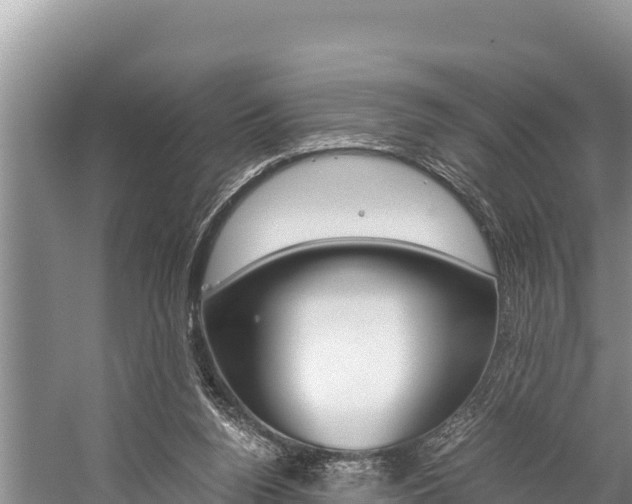 X0000059830160200510211031