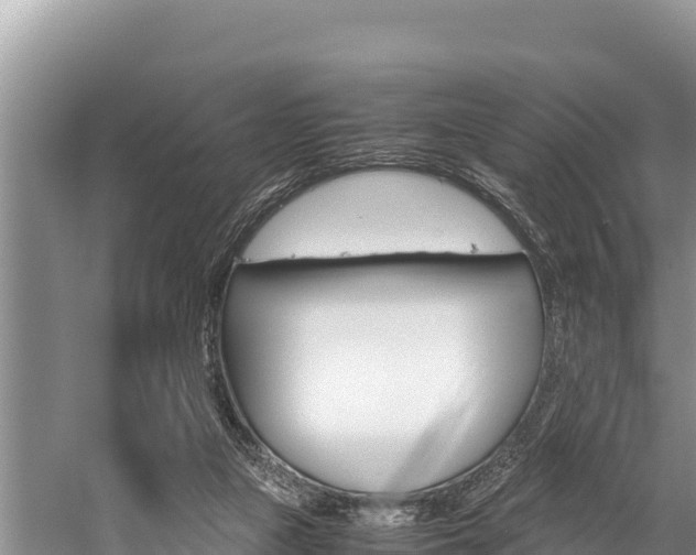 X0000059830161200510211031