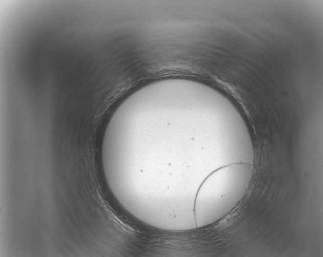 X0000059830162200510211031