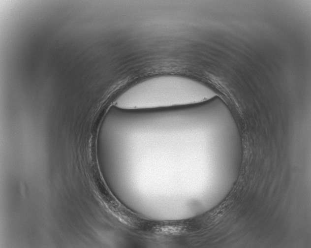 X0000059830163200510211031