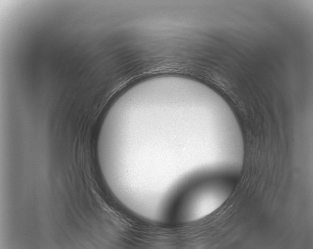 X0000059830164200510211031