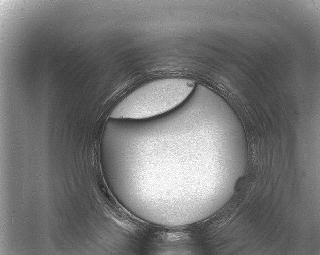 X0000059830165200510211031