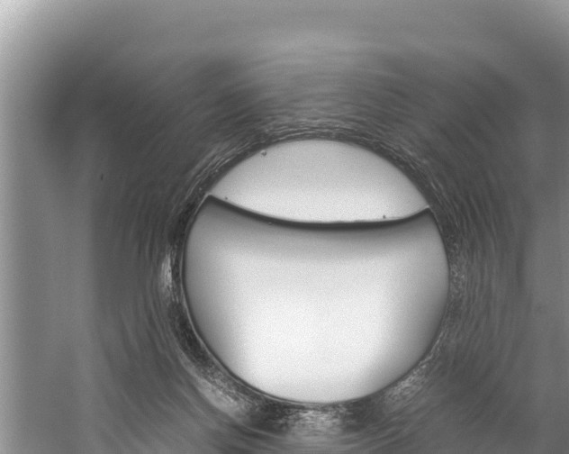 X0000059830166200510211031