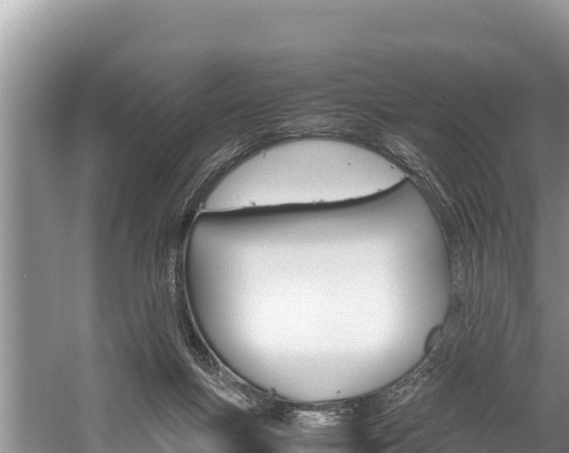 X0000059830167200510211031