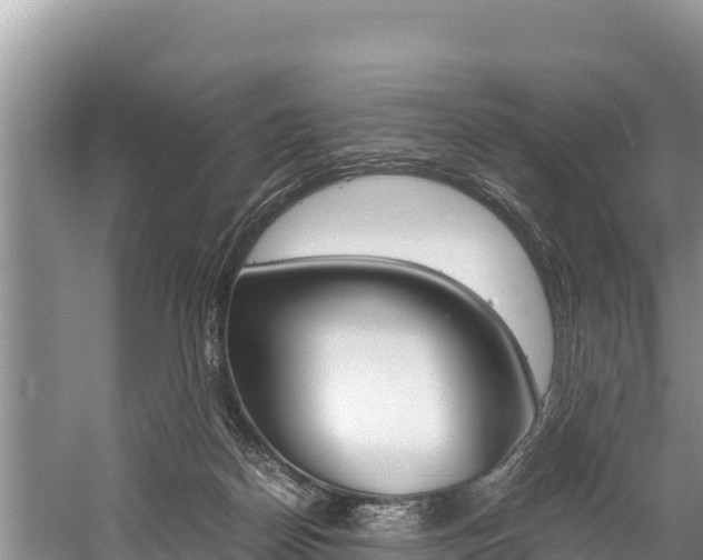 X0000059830170200510211031