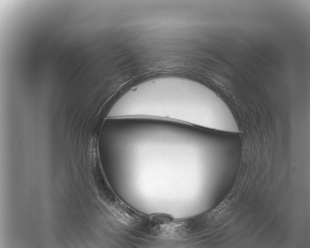 X0000059830172200510211031