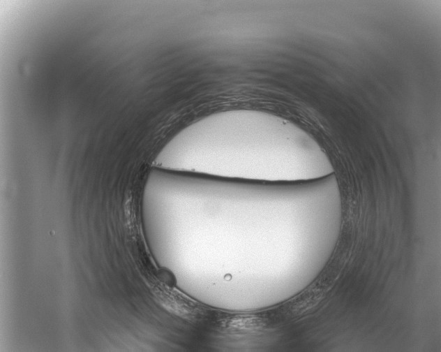 X0000059830173200510211031