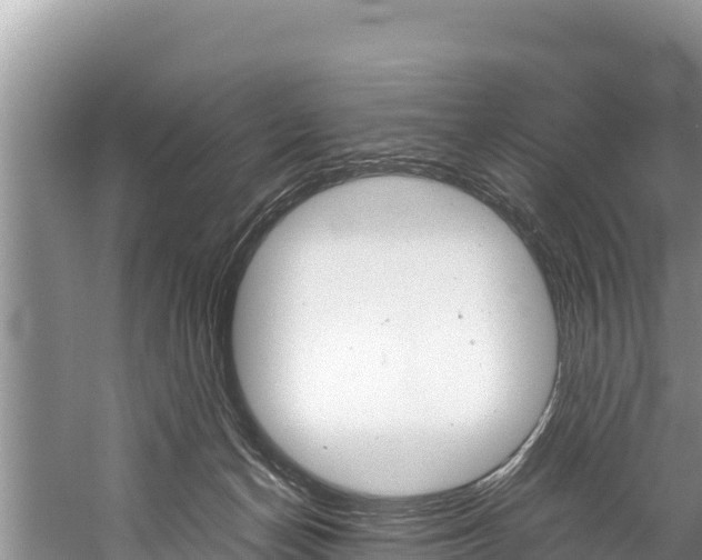 X0000059830174200510211031