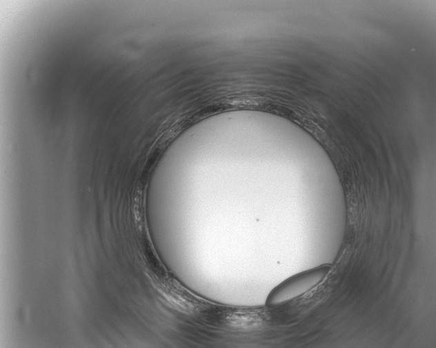 X0000059830175200510211031