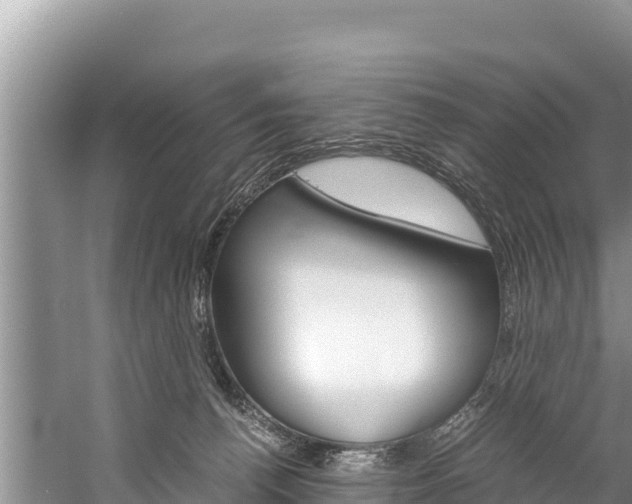 X0000059830176200510211031