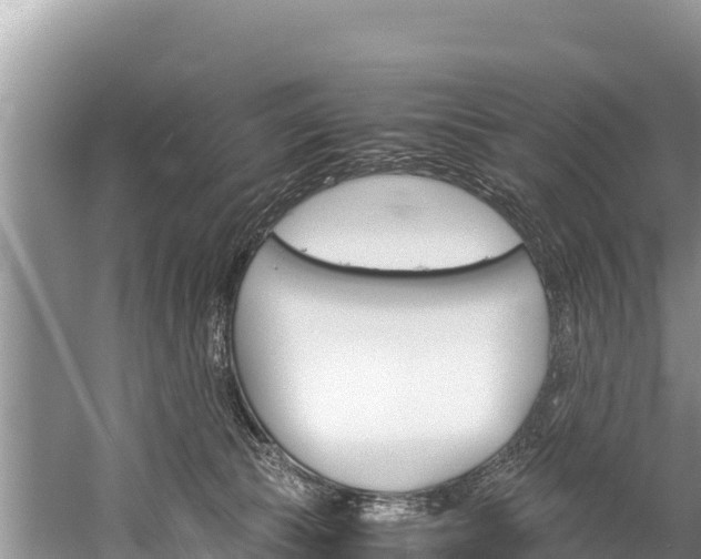 X0000059830177200510211031