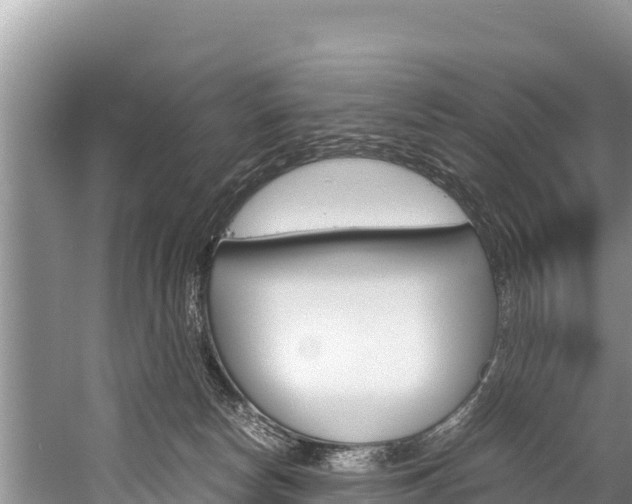 X0000059830178200510211031