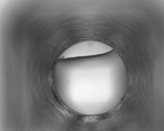 X0000059830179200510211031