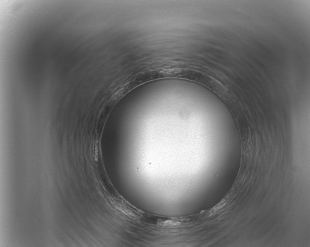 X0000059830180200510211031