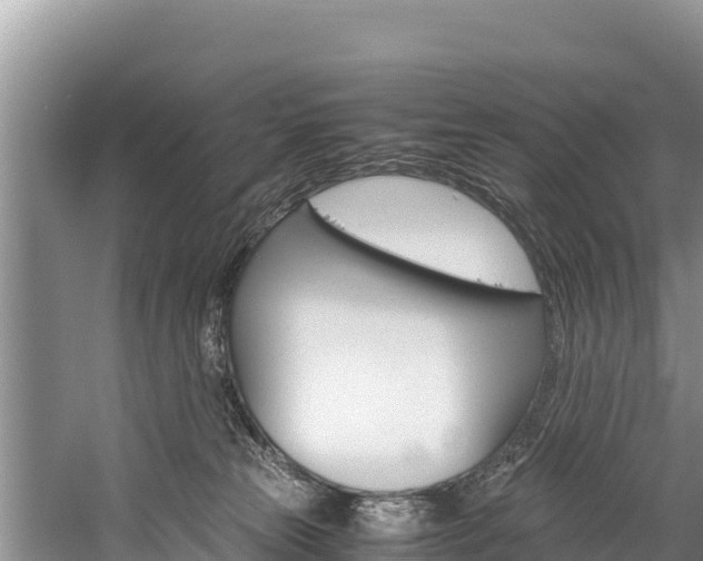 X0000059830181200510211031