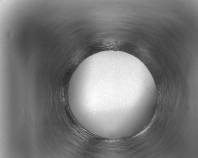 X0000059830182200510211031