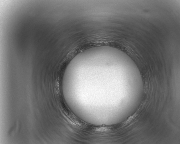 X0000059830183200510211031