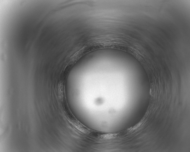 X0000059830184200510211031