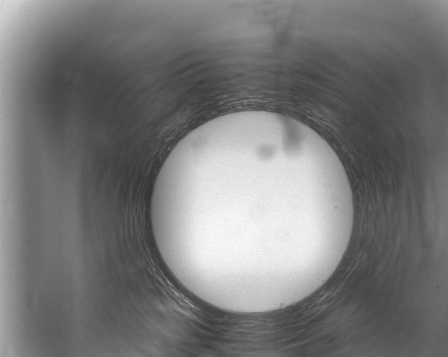 X0000059830185200510211031