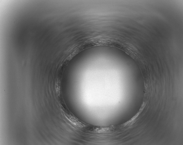 X0000059830186200510211031