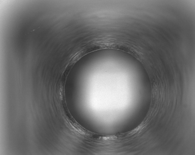 X0000059830188200510211031