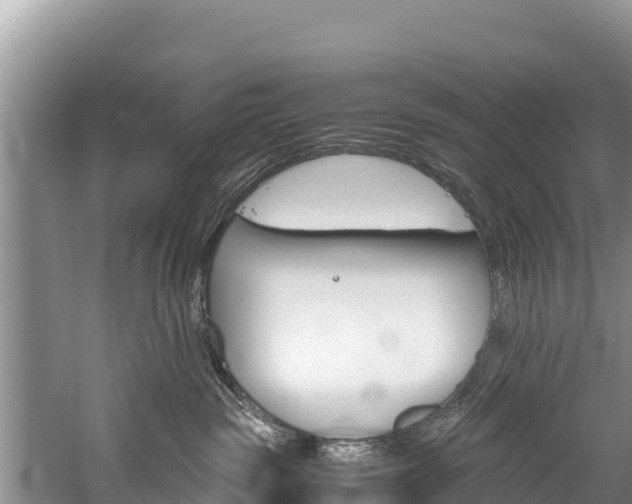 X0000059830189200510211031