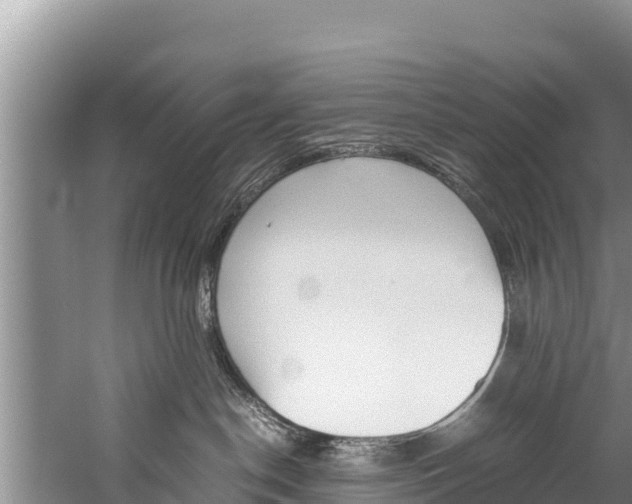 X0000059830190200510211031