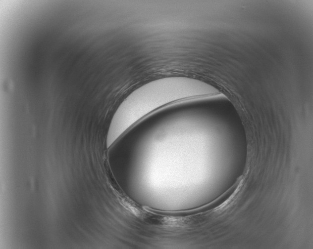 X0000059830192200510211031