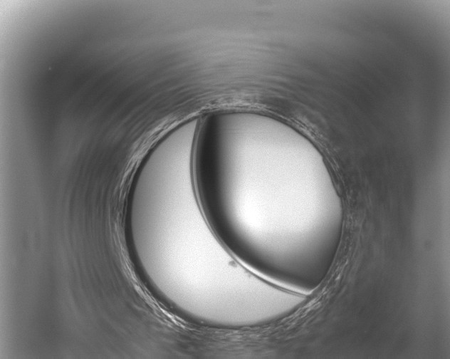 X0000059830193200510211031