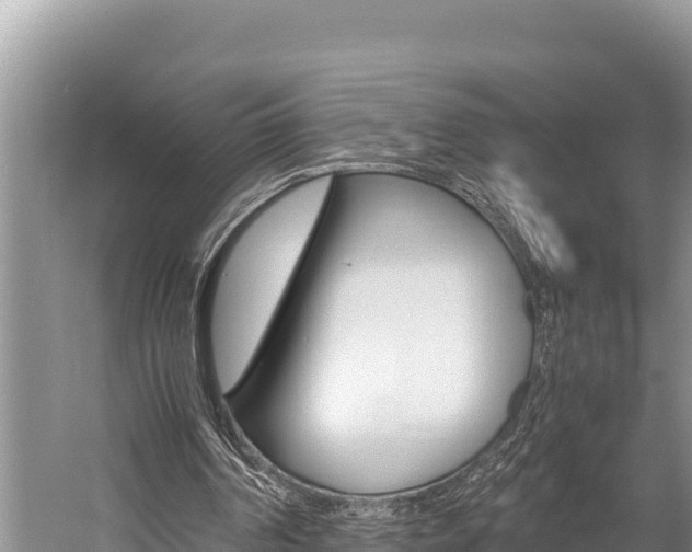 X0000059830194200510211031