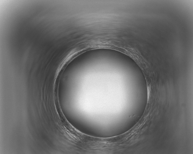 X0000059830195200510211031