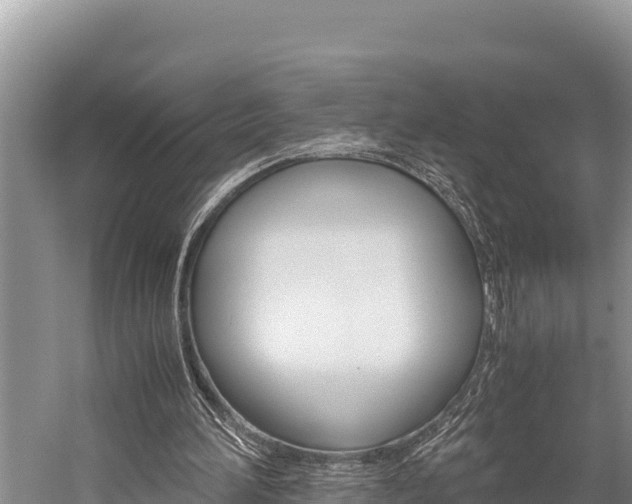 X0000059830196200510211030