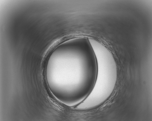 X0000059830197200510211030