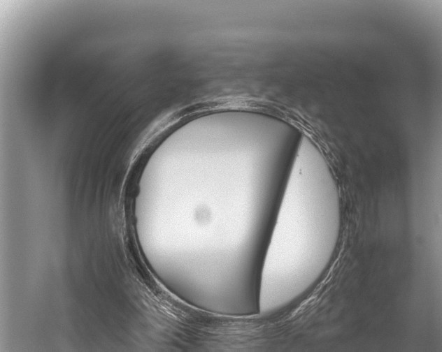 X0000059830198200510211030