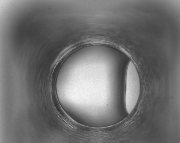 X0000059830199200510211030