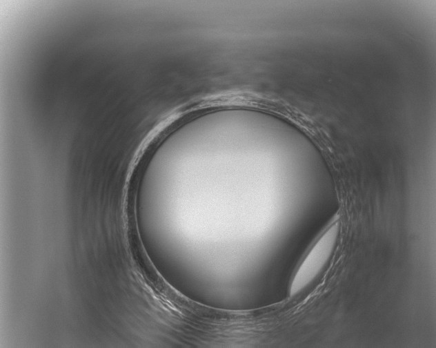 X0000059830200200510211030