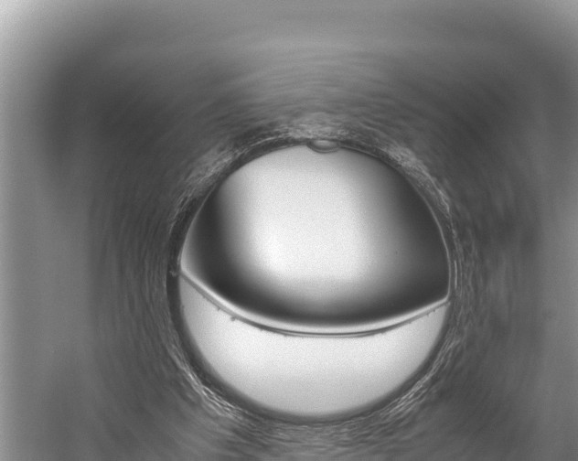 X0000059830201200510211030