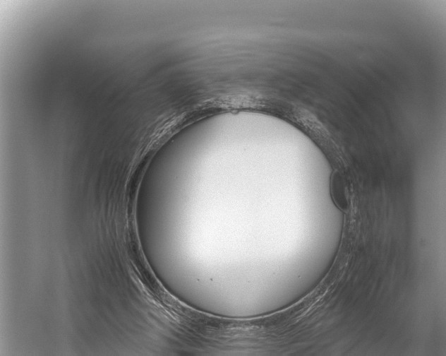 X0000059830202200510211030