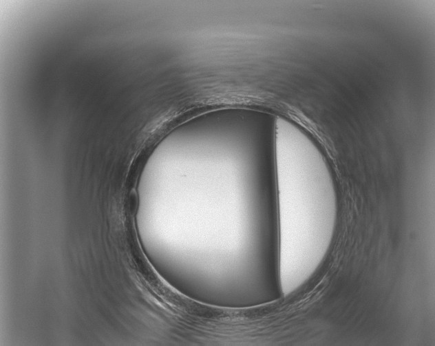 X0000059830203200510211030