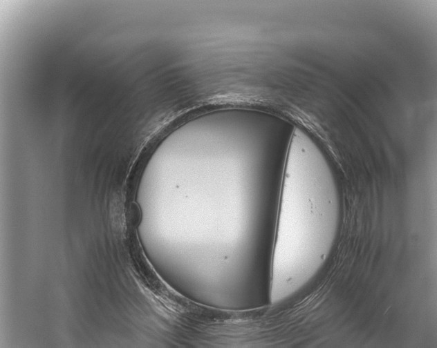 X0000059830204200510211030