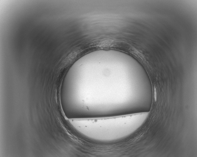 X0000059830205200510211030