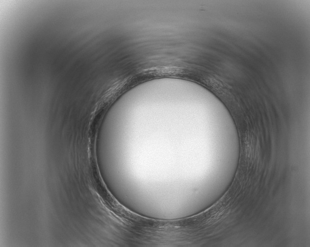 X0000059830206200510211030