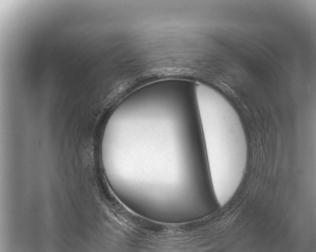 X0000059830207200510211030