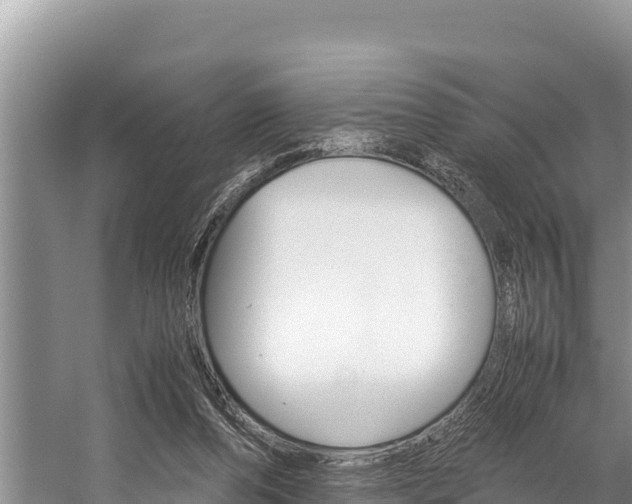 X0000059830208200510211030