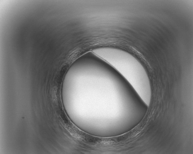 X0000059830209200510211030