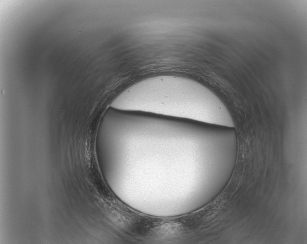 X0000059830210200510211030