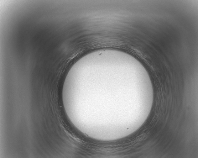 X0000059830211200510211030