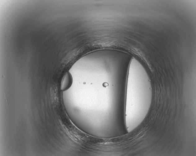 X0000059830212200510211030