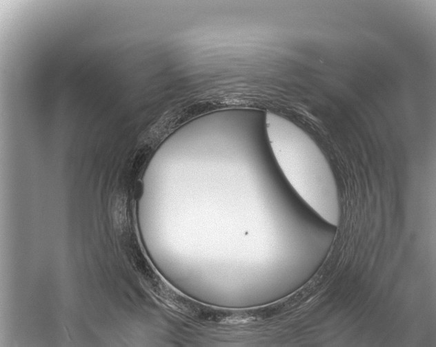 X0000059830213200510211030